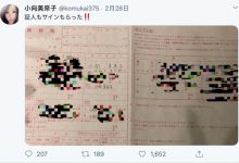恭喜!小向美奈子结婚!-优优日报