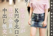 WANZ-822 专属决定！搭车到高门寺北口的男人都可以中出椎名そら！-优优日报