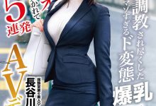 DIC-084 写真资历无用?长谷川古宵化身性兽变态出击!-优优日报