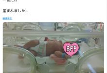 募资200万円达标! かさいあみ生了!-优优日报