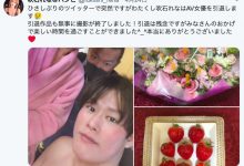 软乳女神玩完!吹石れな(吹石玲奈)电击引退-优优日报