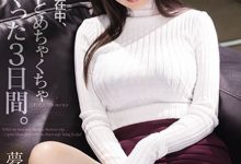 SSIS-183 趁上司出差就搞她老婆！与巨乳人妻“梦乃あいか”理性崩坏疯狂玩三天！-优优日报