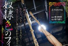 RBK-035 紧缚悬空、滴蜡油!志木あかね休业前最惨烈演出!-优优日报