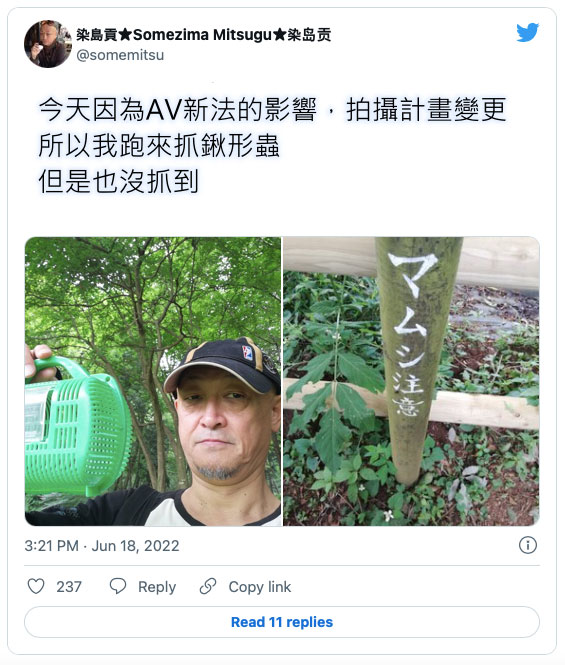 这就是AV新法的威力！女优哀嚎声不绝！