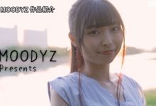 MIFD-254 「长谷川礼奈」出道作品番号及封面，「长谷川礼奈」个人简介-优优日报