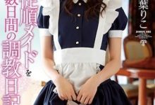 SSNI-749,作为自己选择的绝对听话的女仆,白葉りこ番号,2020年04月07号|在线播放-优优日报