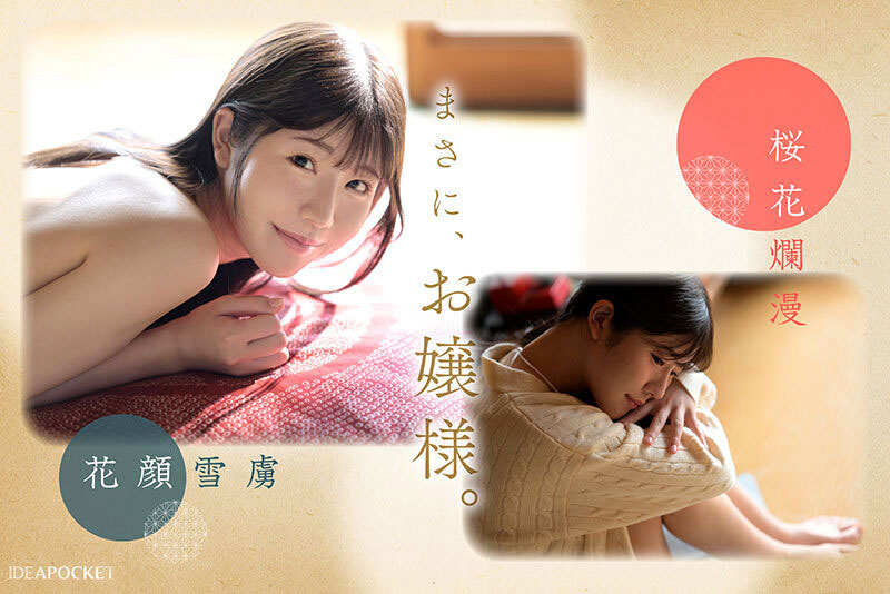「坂井美桜」出道作品番号及封面，「坂井美桜」个人简介