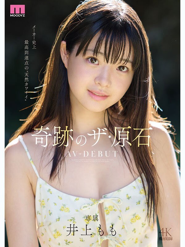 井上桃(井上もも)出道作品番号及封面，「井上桃」个人简介