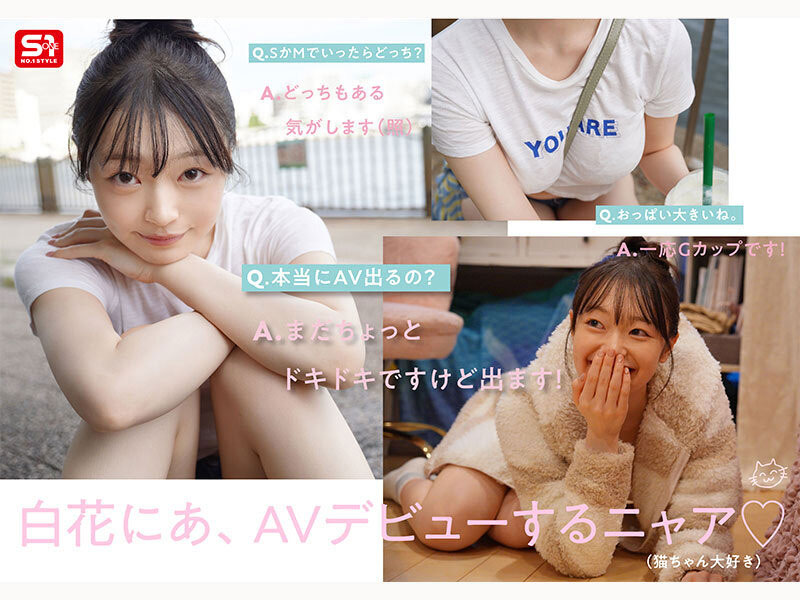 白花仁爱(白花にあ)出道作品番号及封面，「白花仁爱」个人简介