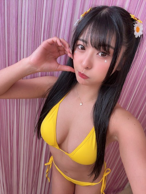 「似鸟日和」出道作品番号及封面，「似鸟日和」个人简介