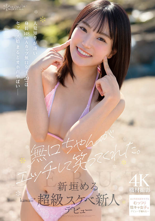 新垣爱琉(新垣める)出道作品番号及封面,「新垣爱琉」个人简介