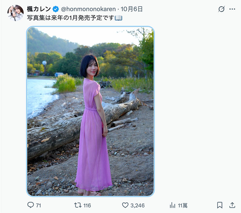 「我没有忘了X(社群)喔」、但,枫カレン(枫花恋)何时有新片? ...
