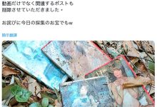 作品被丢到山里⋯架乃ゆら(架乃由罗)这么看。-优优日报