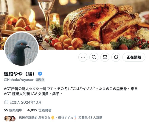【速报】G乳大型新人现身!那只「鸠」的真面目是?