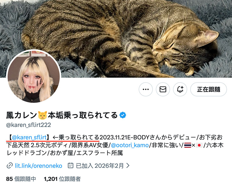 都是社群怪盗害的!女优上网骂自己的帐号!