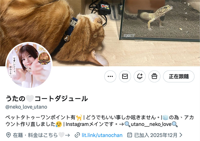 马上宣布马上引退！市井结夏接下来要⋯
