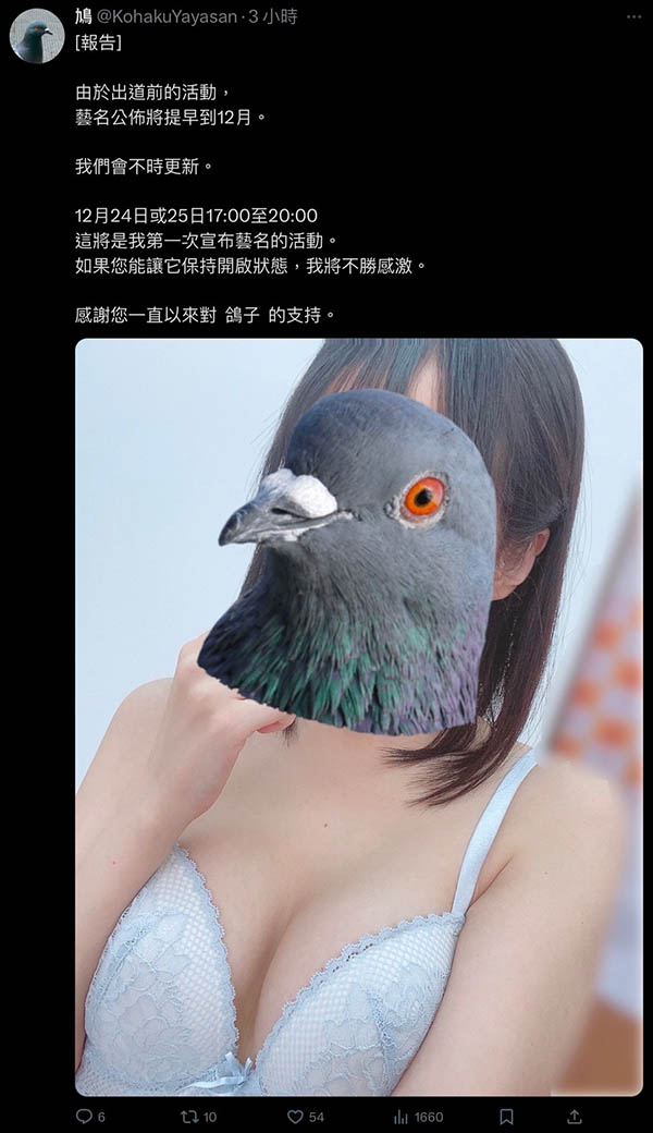 经纪公司ACT的顶级新秀!这只鸽子有大事宣布!