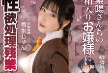 MIMK-284 表面优雅其实超好色的千金小姐！这是香水じゅん(香水纯)最棒的漫改作品！ …-优优日报
