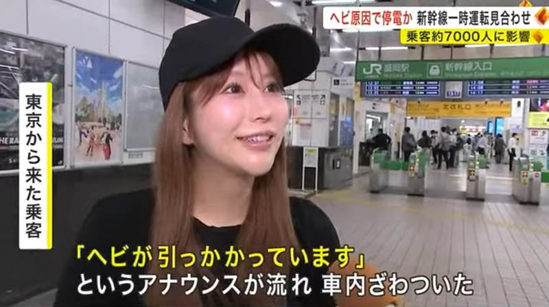 妈我上电视了!那位因电车延误而受访的神乳正妹是?