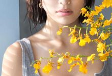 FALENO STAR つばさ舞(翼舞):去了Faleno Star的最大好处是⋯-优优日报