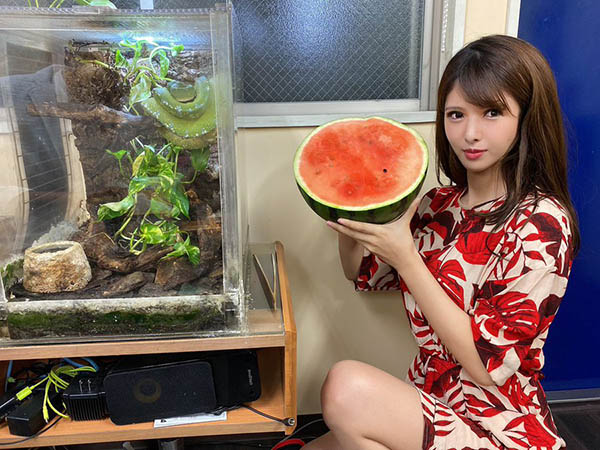 超性感小心机自拍照! H罩杯火辣美女新人「绿川雅」推特福利中路大开还外洩裙底...