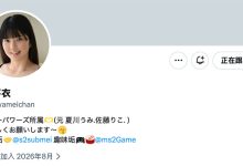 2019年的销售冠军回来了！现在她是「沢芽衣(泽芽衣)」！-优优日报
