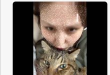 爱猫过世了⋯东北美人的她也不做了!-优优日报